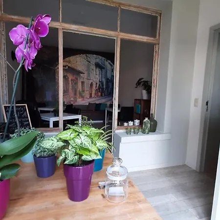 't Zandmanneke Alojamento de Acomodação e Pequeno-almoço 4*