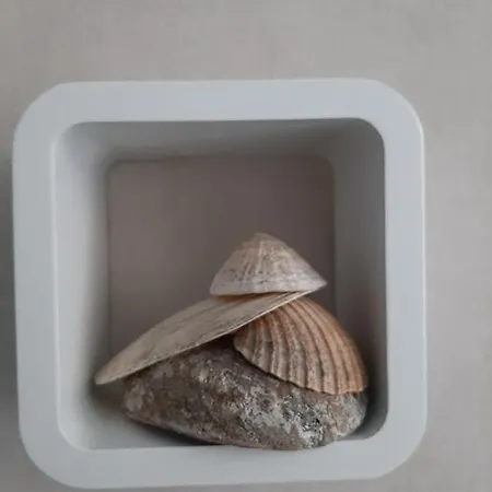 't Zandmanneke 4* Ostend