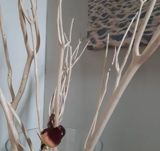 't Zandmanneke Frühstückspension 4*