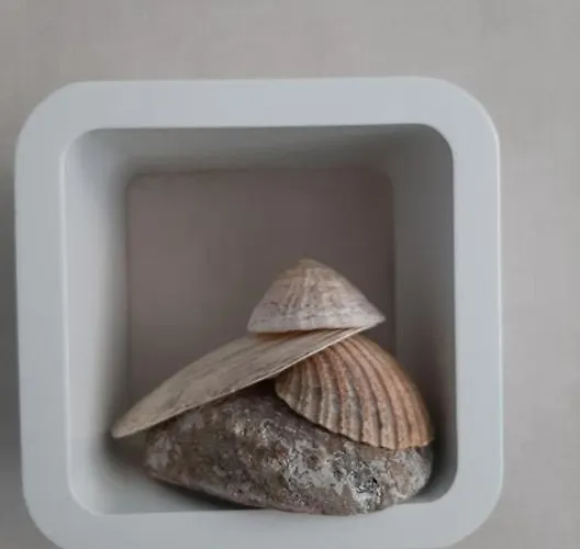 't Zandmanneke 4* Ostende