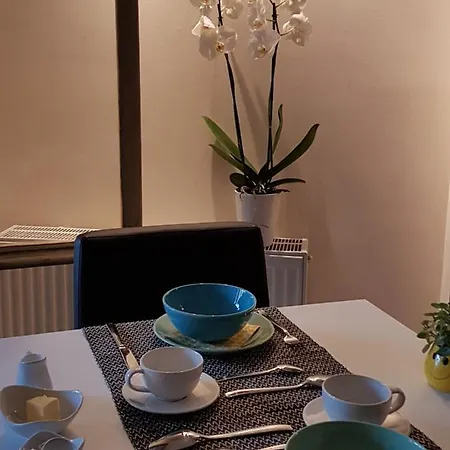 Nocleg ze śniadaniem 't Zandmanneke