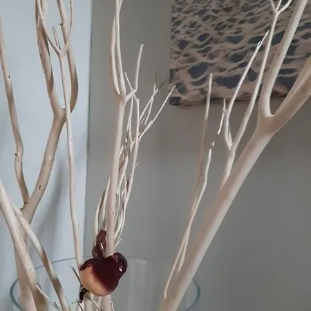 't Zandmanneke Nocleg ze śniadaniem 4*